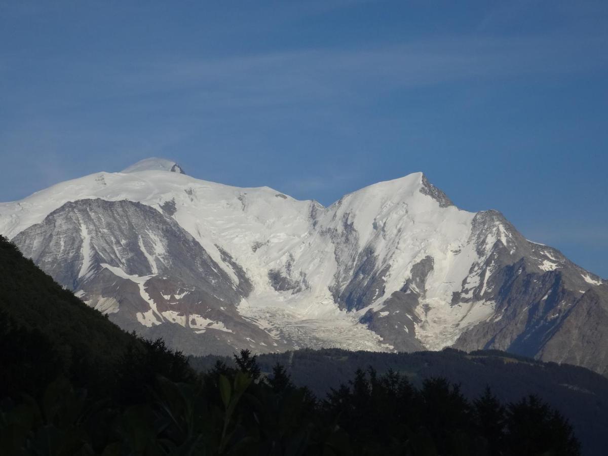 Mont Blanc Holidays Dans Residence Avec Gardien Sallanches Eksteriør bilde